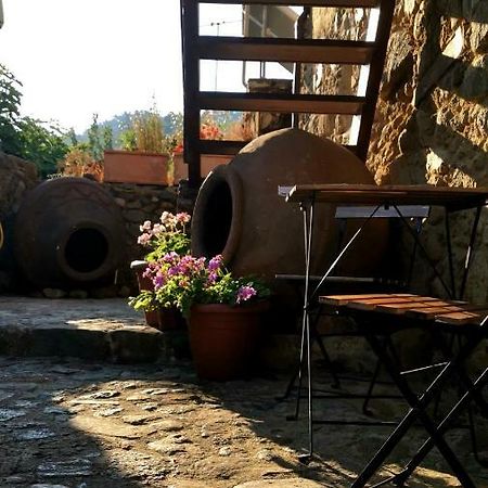 Maritsa Lodge Какопетрия Экстерьер фото